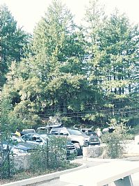 JRisin profile photo