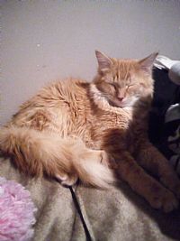 Lin420 profile photo