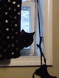 Lin420 profile photo