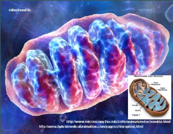 MisterMig profile photo