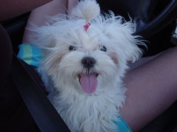 peach54669 profile photo