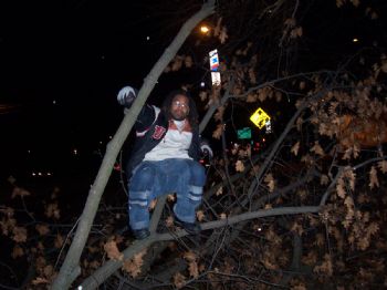 trydeezz1 profile photo