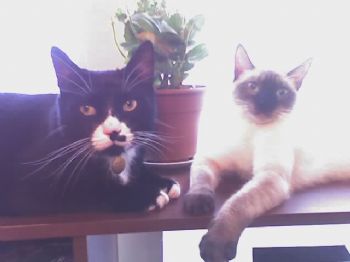 Magick profile photo