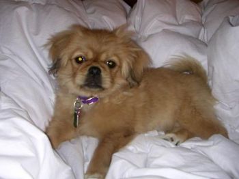 Kaity0129 profile photo