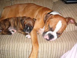 obxgrl79 profile photo