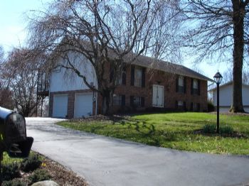 bullofthenor profile photo