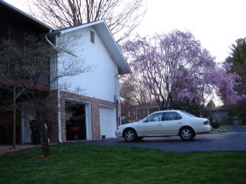 bullofthenor profile photo