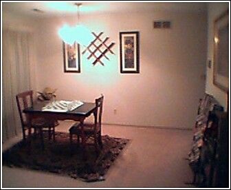 spaingato78 profile photo