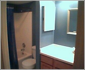 spaingato78 profile photo