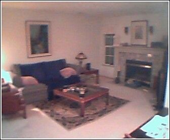 spaingato78 profile photo