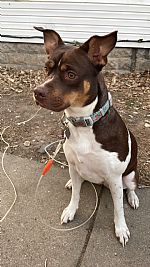 princessizzy325 profile photo