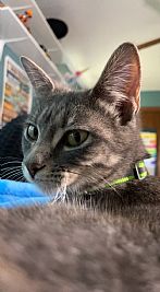 princessizzy325 profile photo