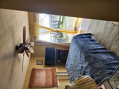 rshaneandarowsk profile photo