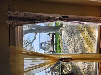 rshaneandarowsk profile photo