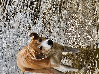 rshaneandarowsk profile photo