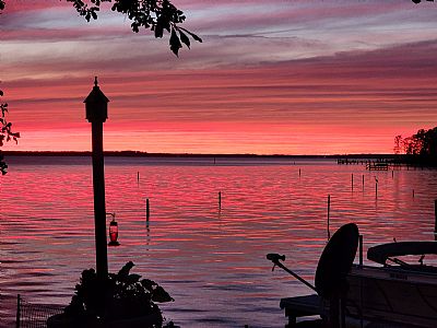 rshaneandarowsk profile photo