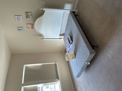 baumbek profile photo