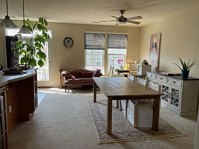 baumbek profile photo