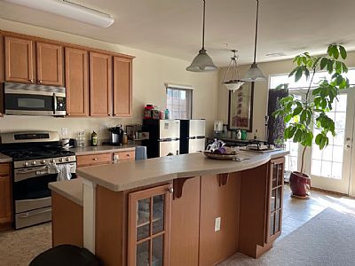 baumbek profile photo