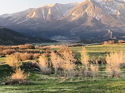 Walker7891 profile photo