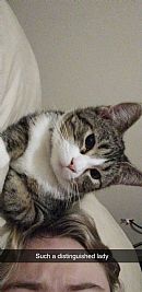 AerielBu profile photo