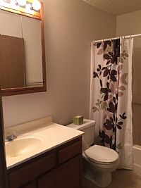 senusik profile photo