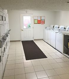 senusik profile photo