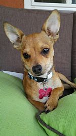 Anythingia05 profile photo