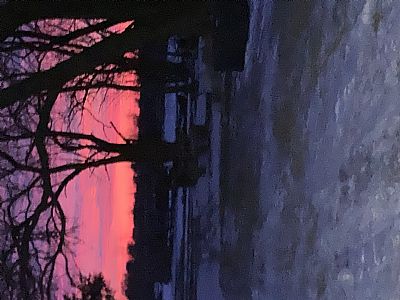 Open_space profile photo