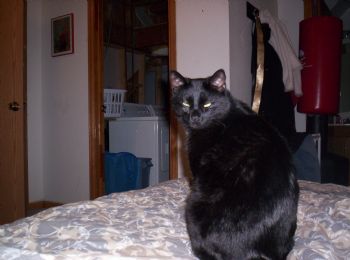 missjune profile photo