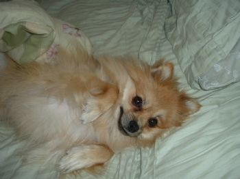 kcole profile photo