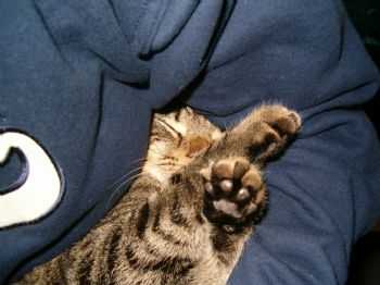 ash0347 profile photo