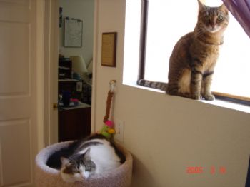 tiggynpene profile photo