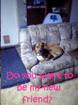 brandylee24 profile photo