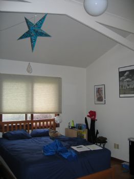 dexdo22 profile photo