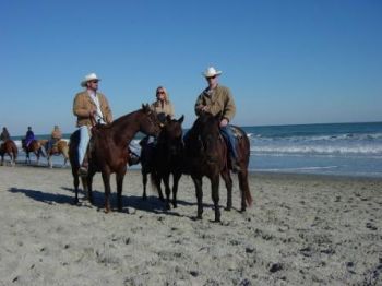 steve bigdog profile photo