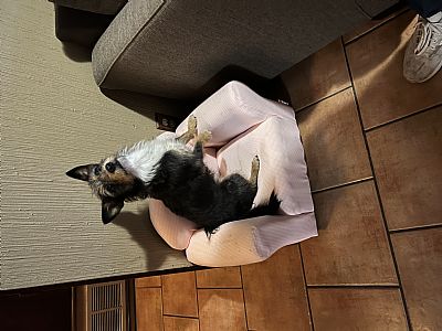 Baray99 profile photo