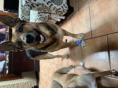 Baray99 profile photo