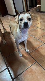 Baray99 profile photo