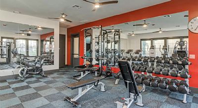 Tarakz profile photo