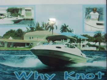 pegasus profile photo