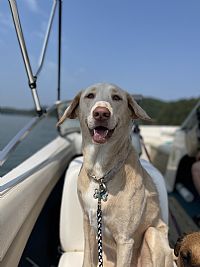 Arianna16 profile photo