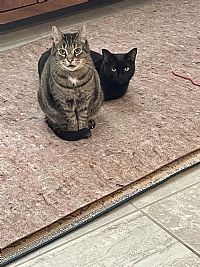 Orange7 profile photo