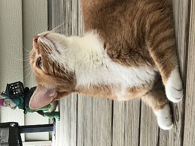 Ethanyak profile photo