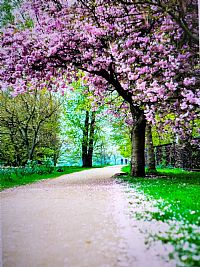 rav.singh profile photo