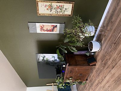 Mschimmel10 profile photo