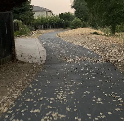 Armida profile photo