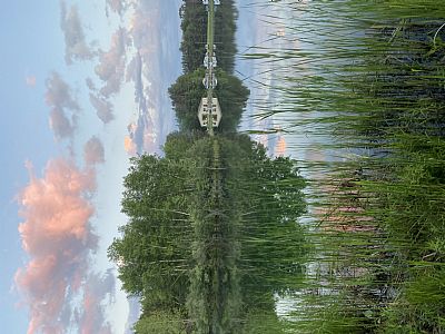 jakaroodog profile photo