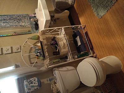 DebMerr2023 profile photo