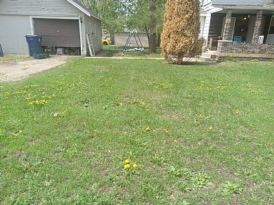 CarrieCain41 profile photo